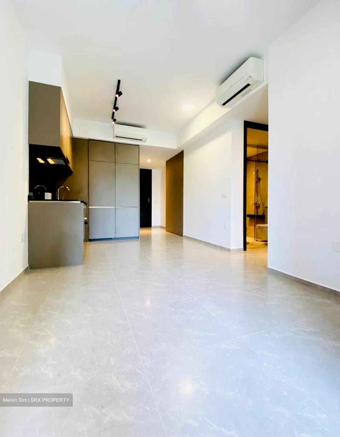 Park Colonial (D13), Condominium #531560441